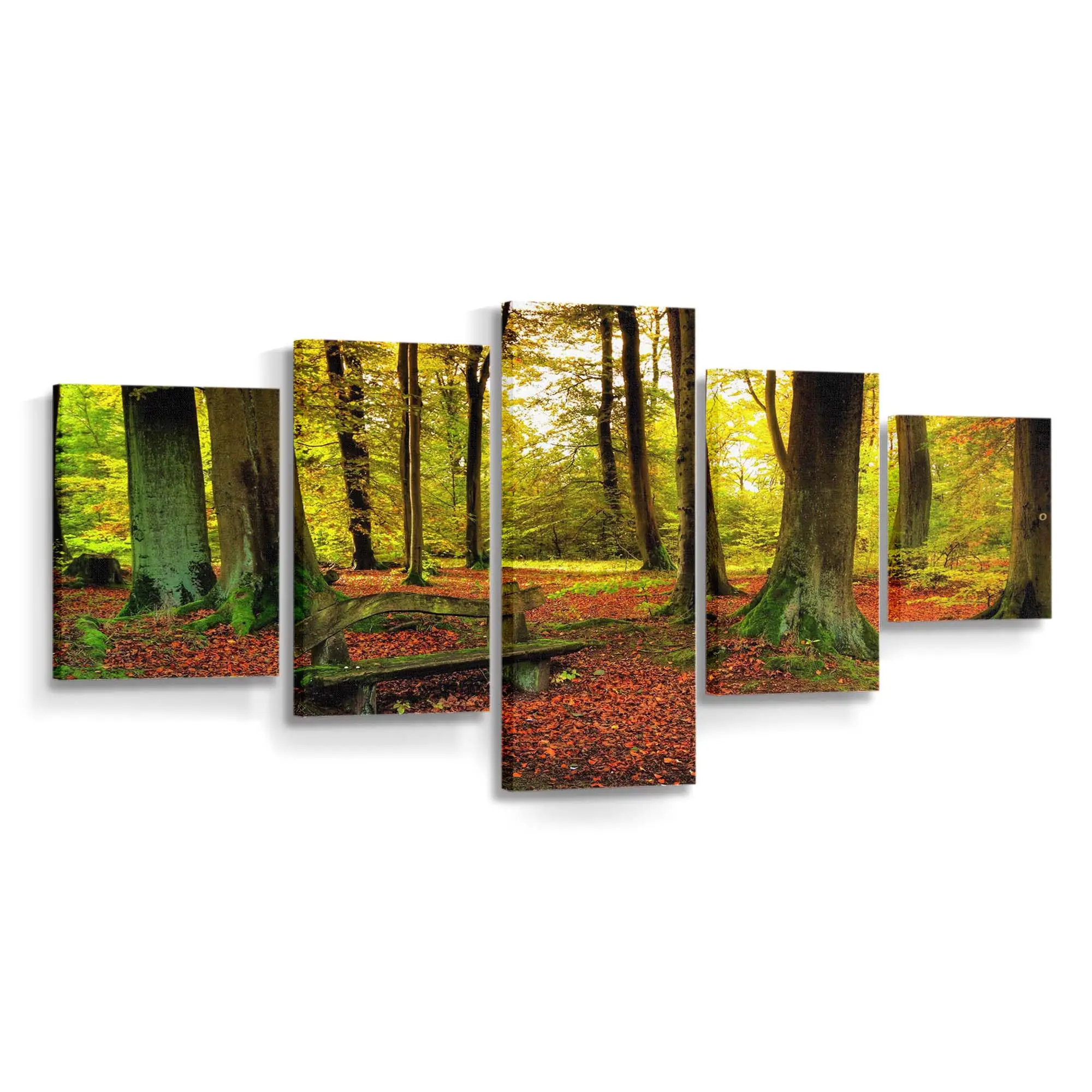 Herbstwaldszene Leinwandbild