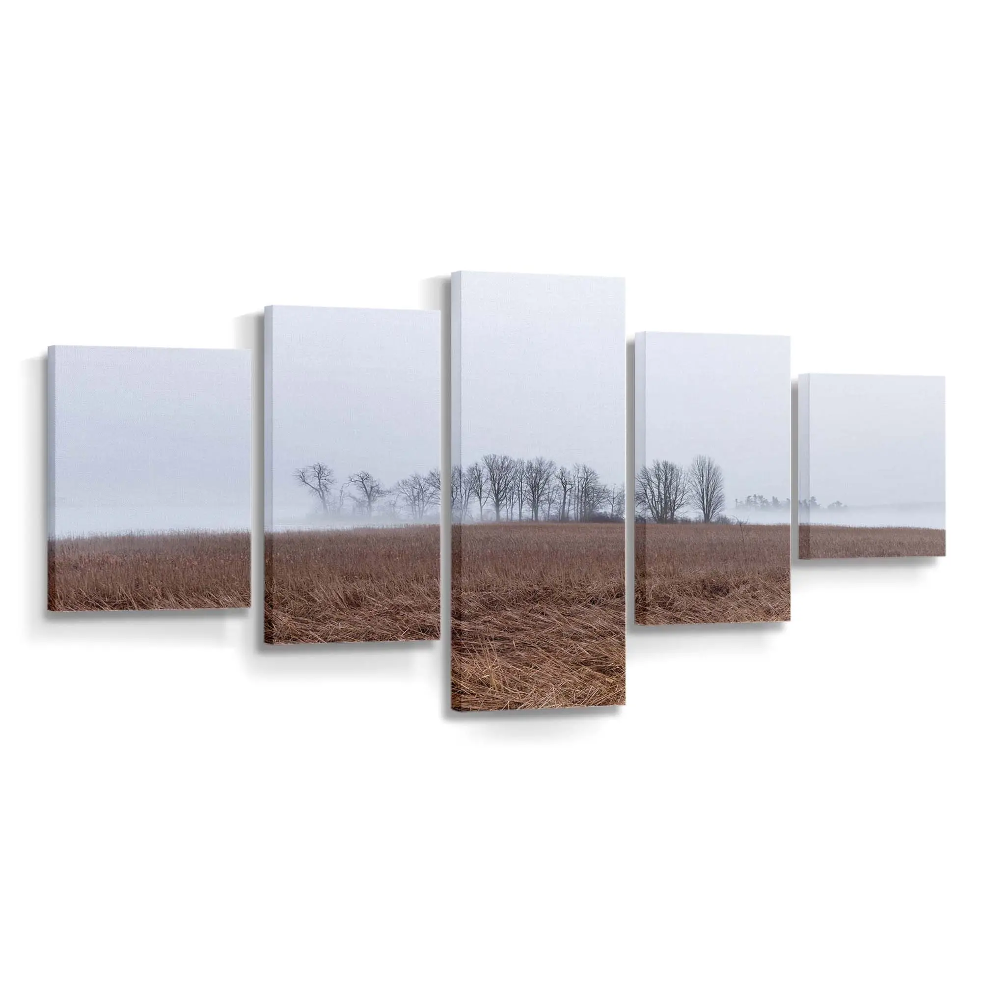 Kalte Neblige Landschaft Mit Kahlen Bäumen Leinwandbild