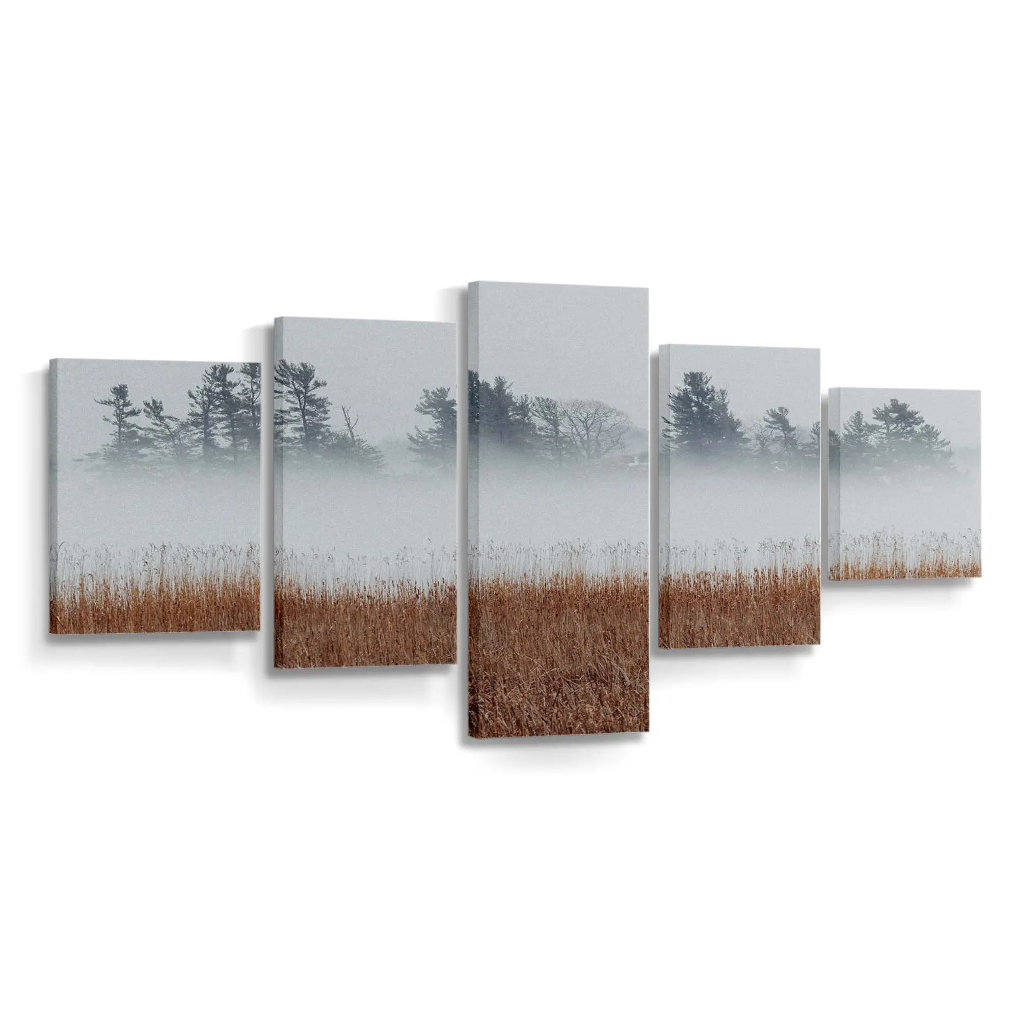 Kaltes Nebliges Schilf Und Herbstbume Leinwandbild