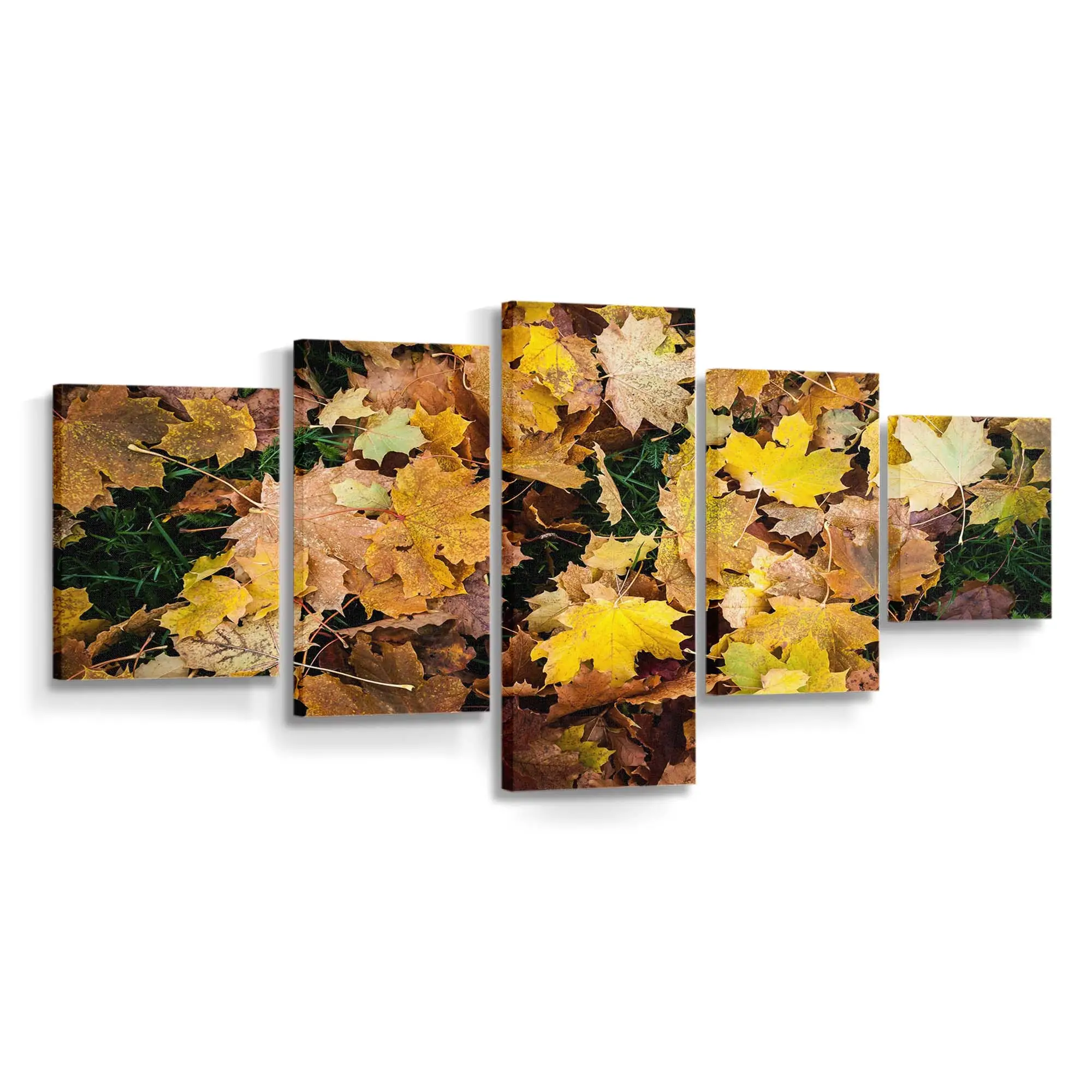 Leuchtend Gelbe Herbstbltter 1 Leinwandbild