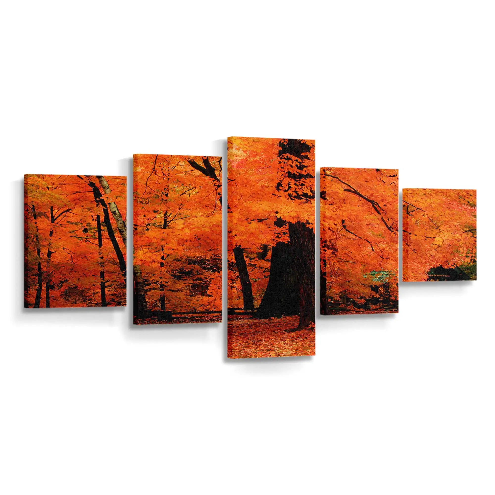 Leuchtend Orangefarbene Herbstfarben Leinwandbild