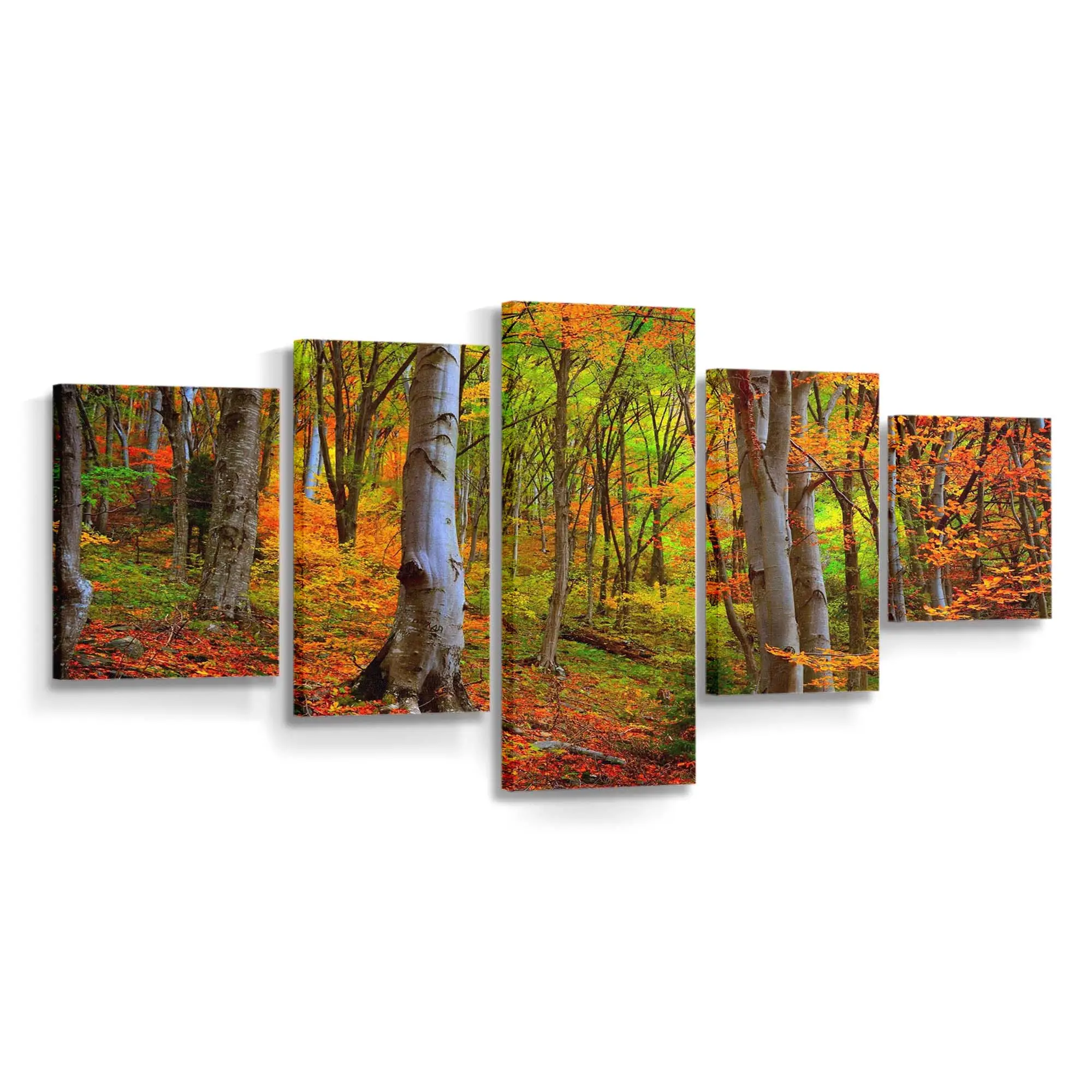 Leuchtendes Herbstlaub Im Wald Leinwandbild