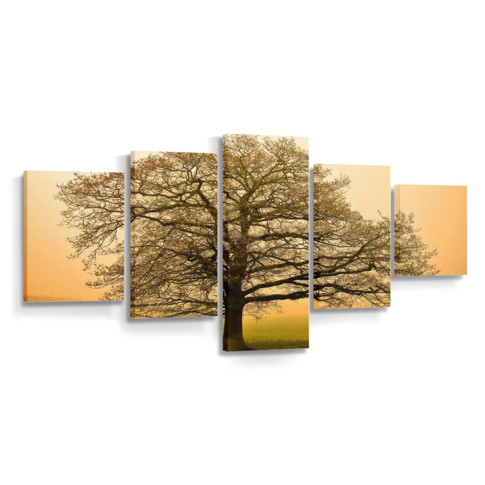 Majestätischer Baum Im Herbst Leinwandbild