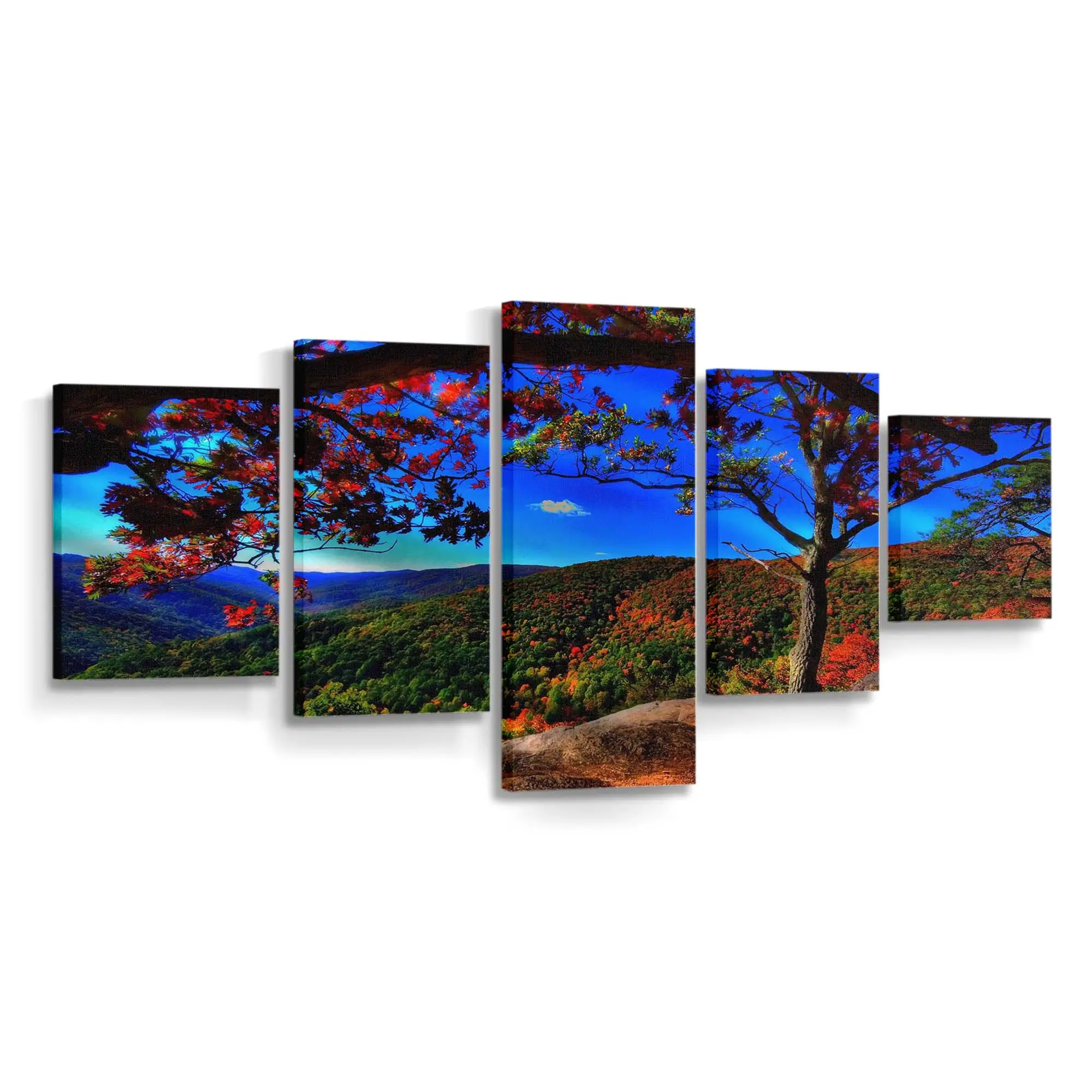 Malerische Herbstwaldlandschaft Leinwandbild
