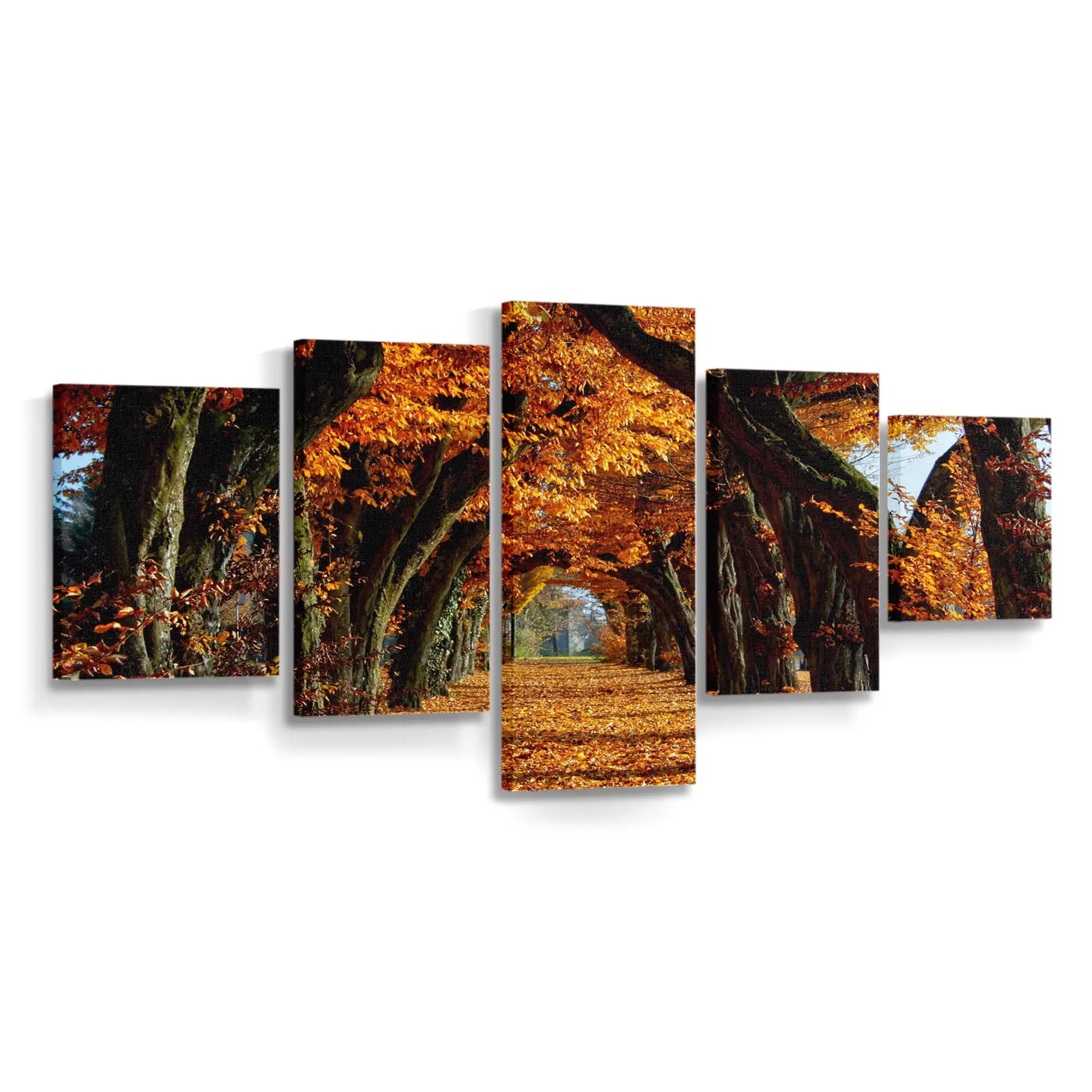 Malerischer Weg In Der Herbstzeit Leinwandbild