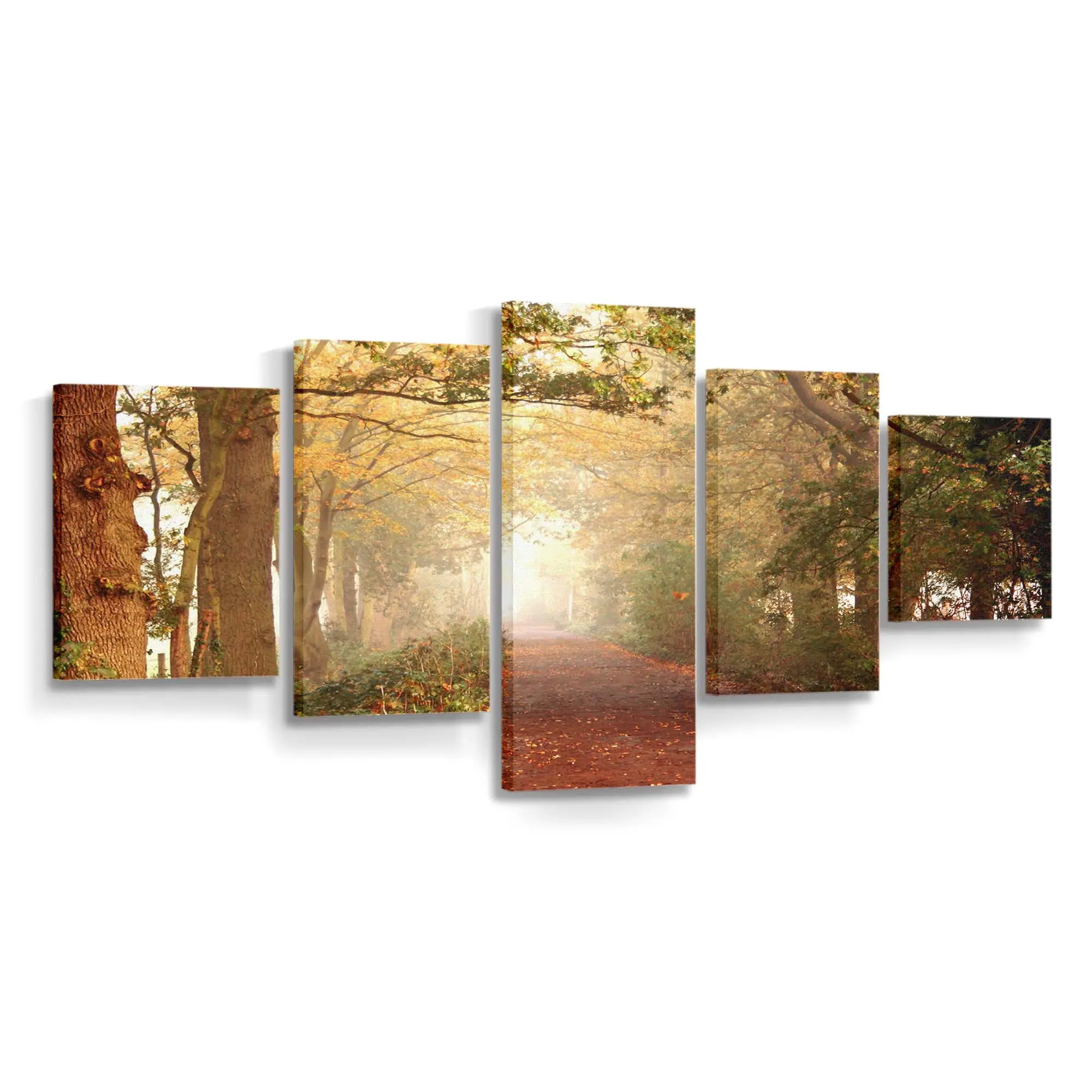 Naturpfad Im Herbst Leinwandbild