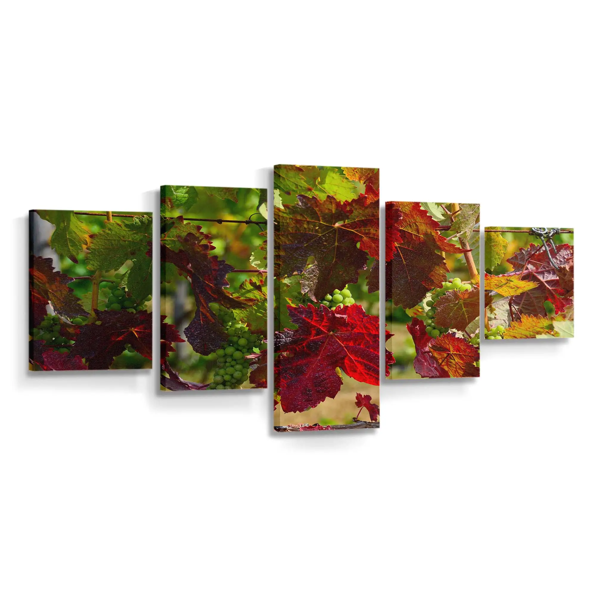 Rausch Der Herbstfarben Leinwandbild