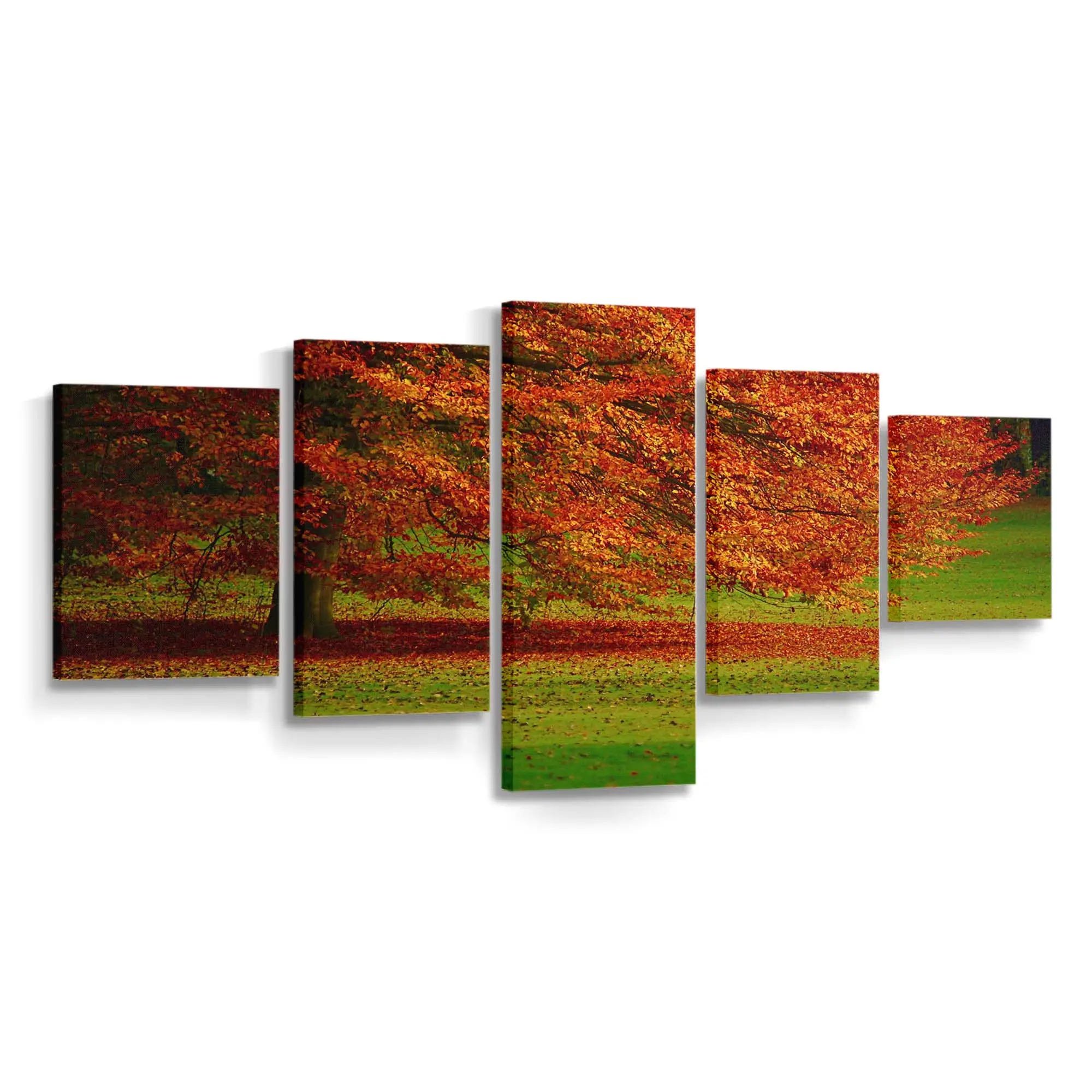Schöner Orangefarbener Herbstbaum Leinwandbild