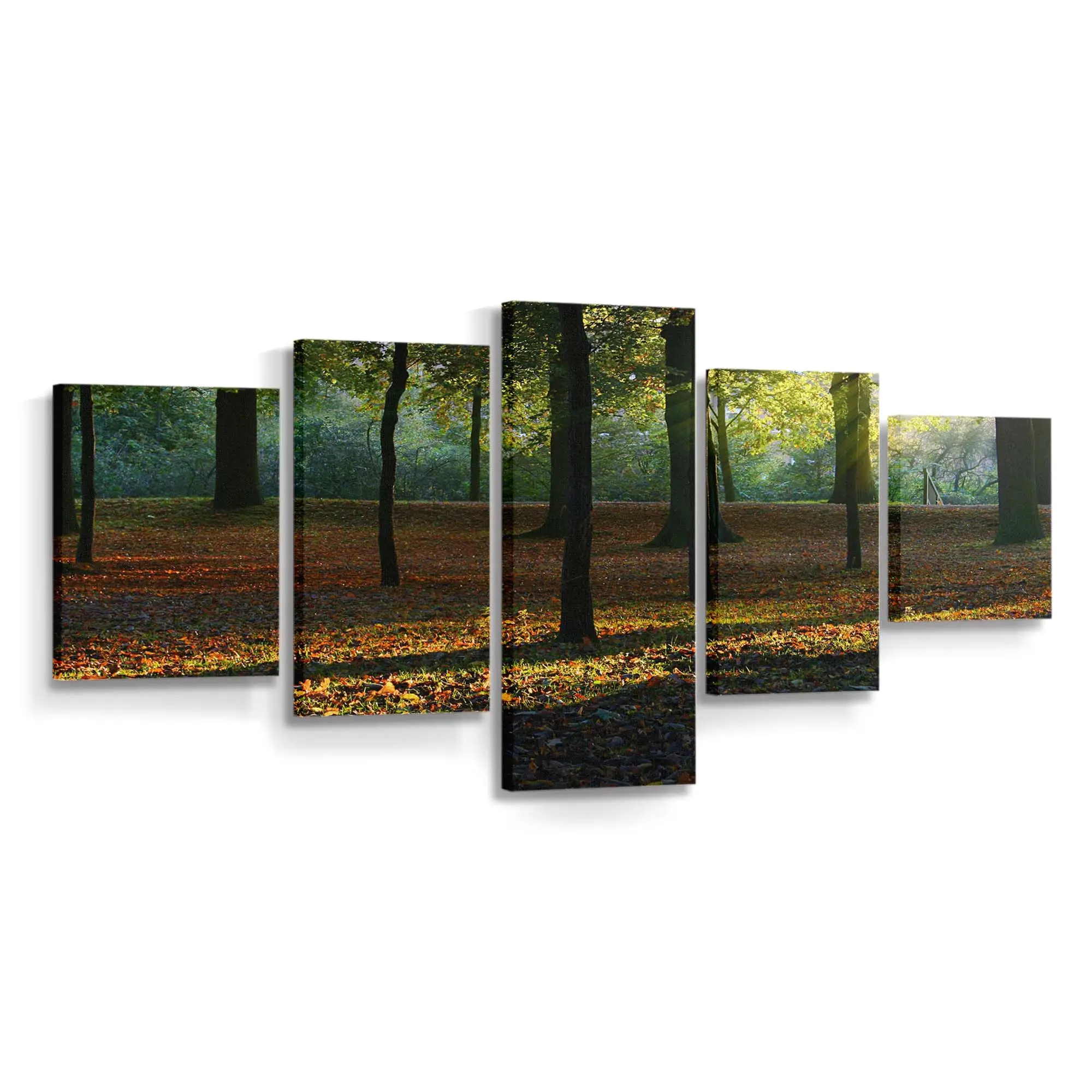 Schönes Goldenes Herbstlicht Leinwandbild