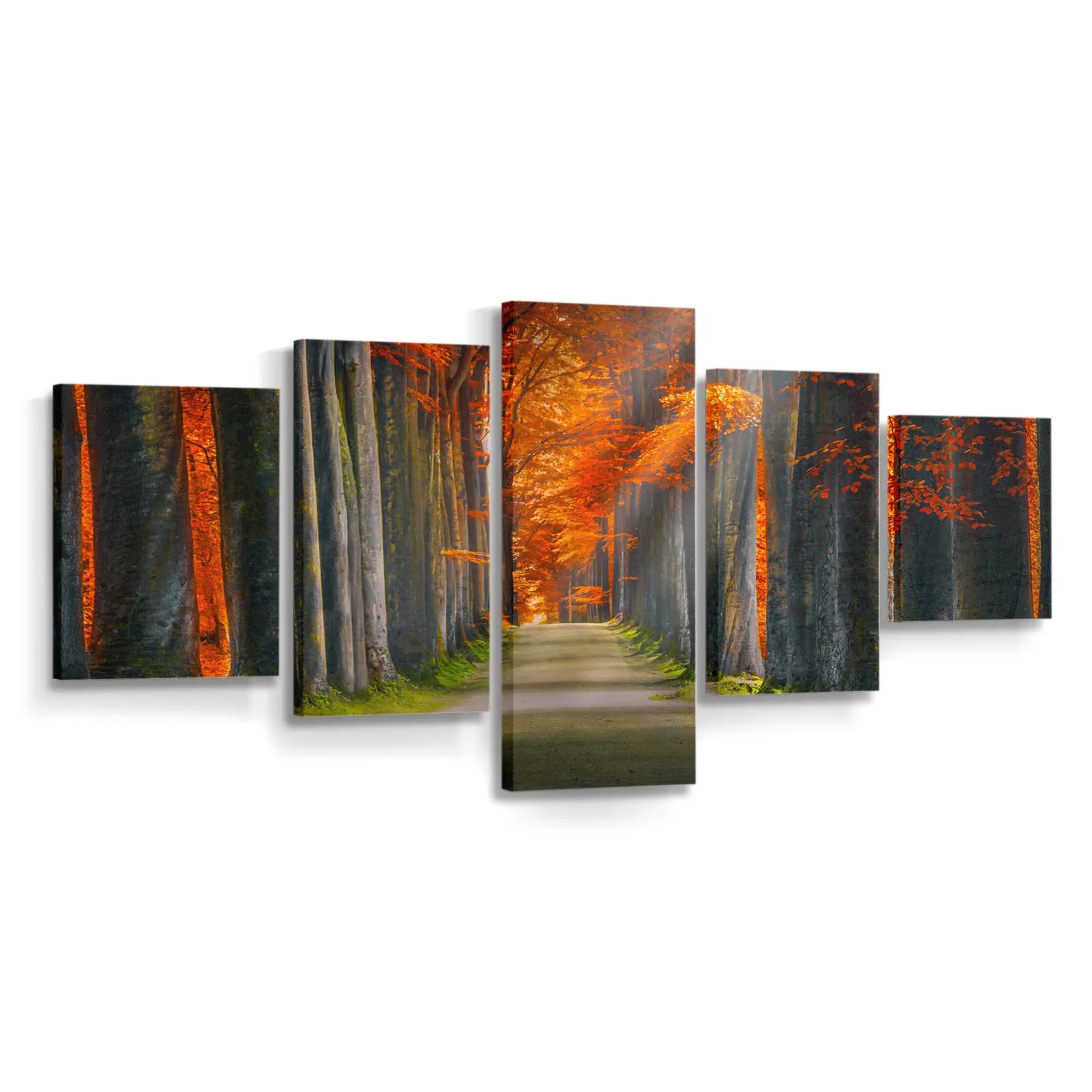 Schönes Herbstliches Nachmittagslicht Leinwandbild