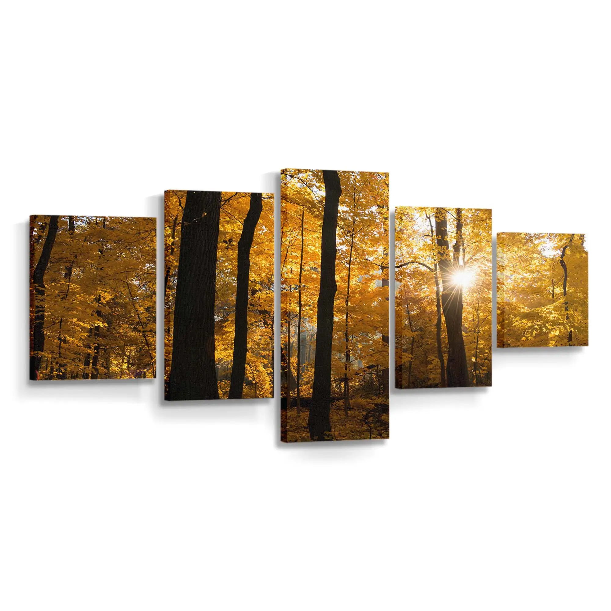 Sonnenaufgang Über Einem Bunten Herbstwald Leinwandbild