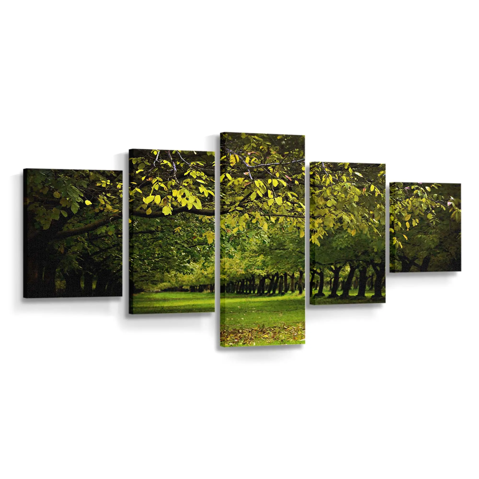 Walnussplantage Im Herbst Leinwandbild
