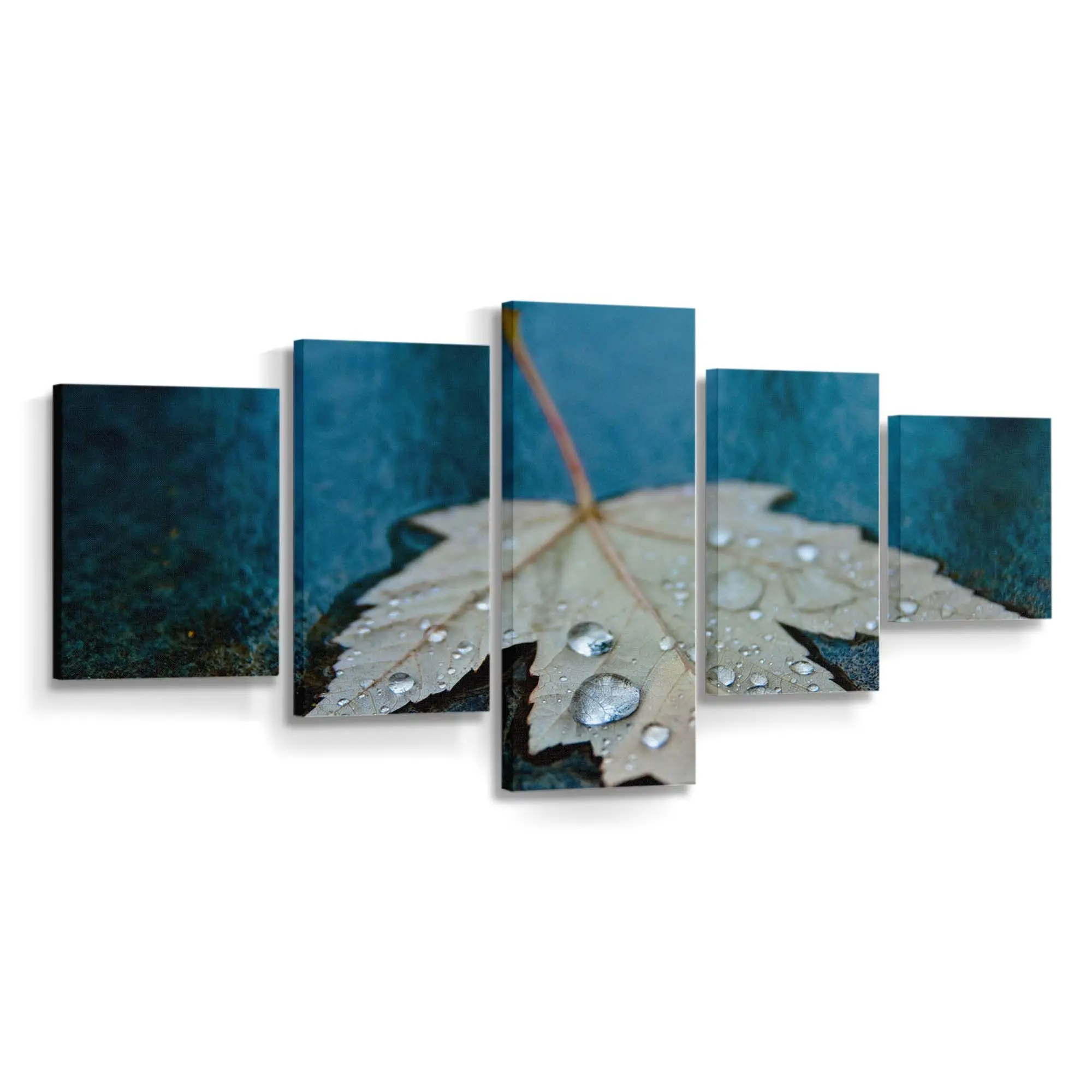 Wassertropfen Im Herbst Auf Blauem Hintergrund Leinwandbild