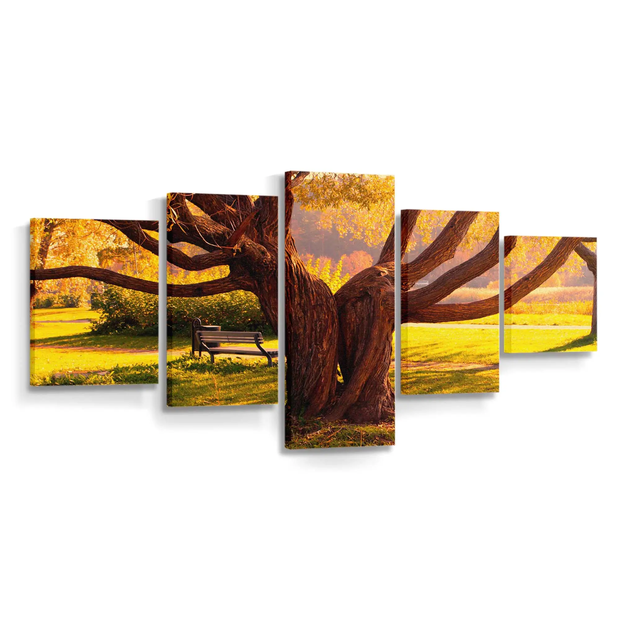 Zwillingsbume Im Herbst Leinwandbild