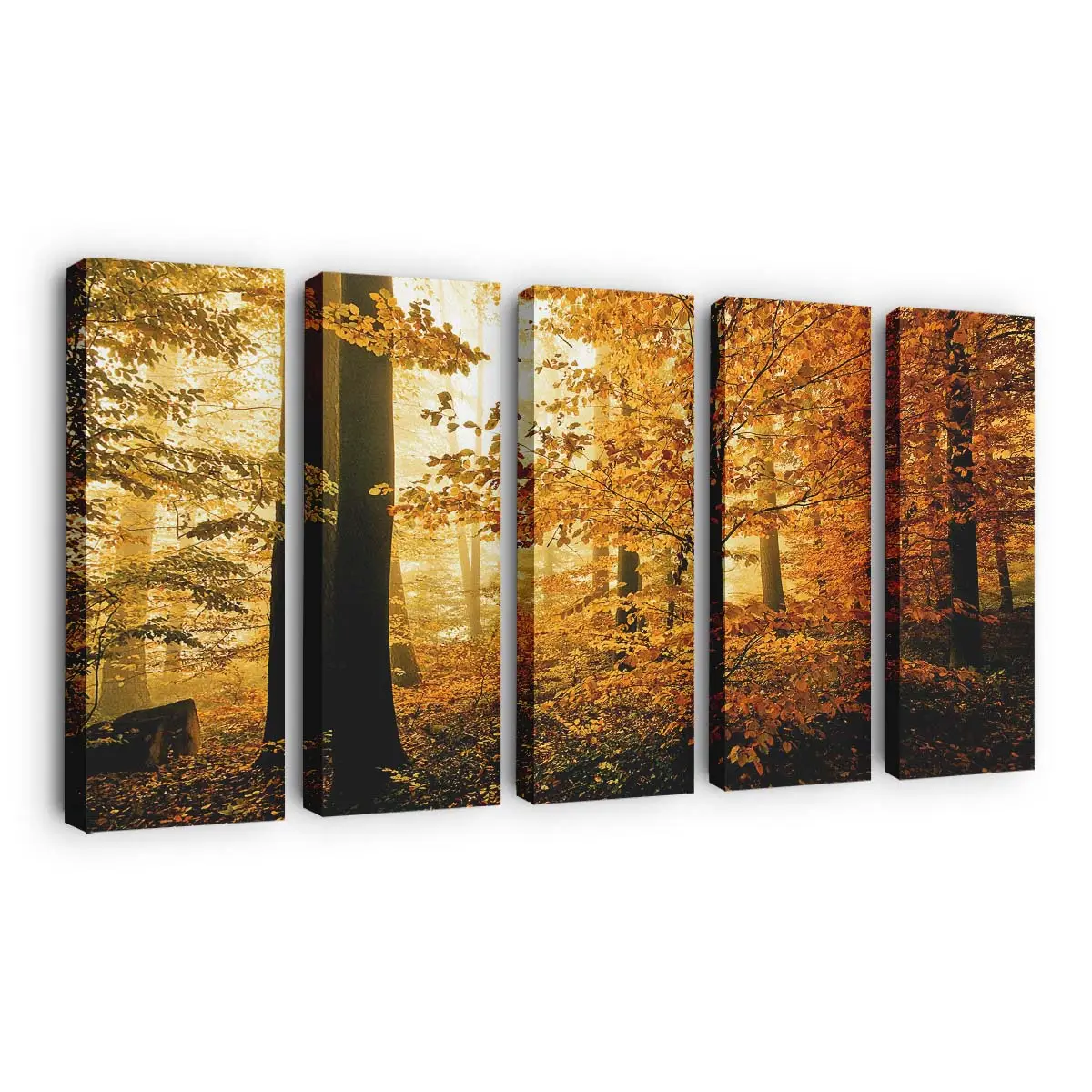 Buntes Herbstlaub Leinwandbild