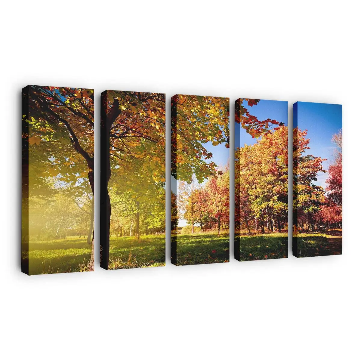 Der Beginn Der Herbstzeit Leinwandbild