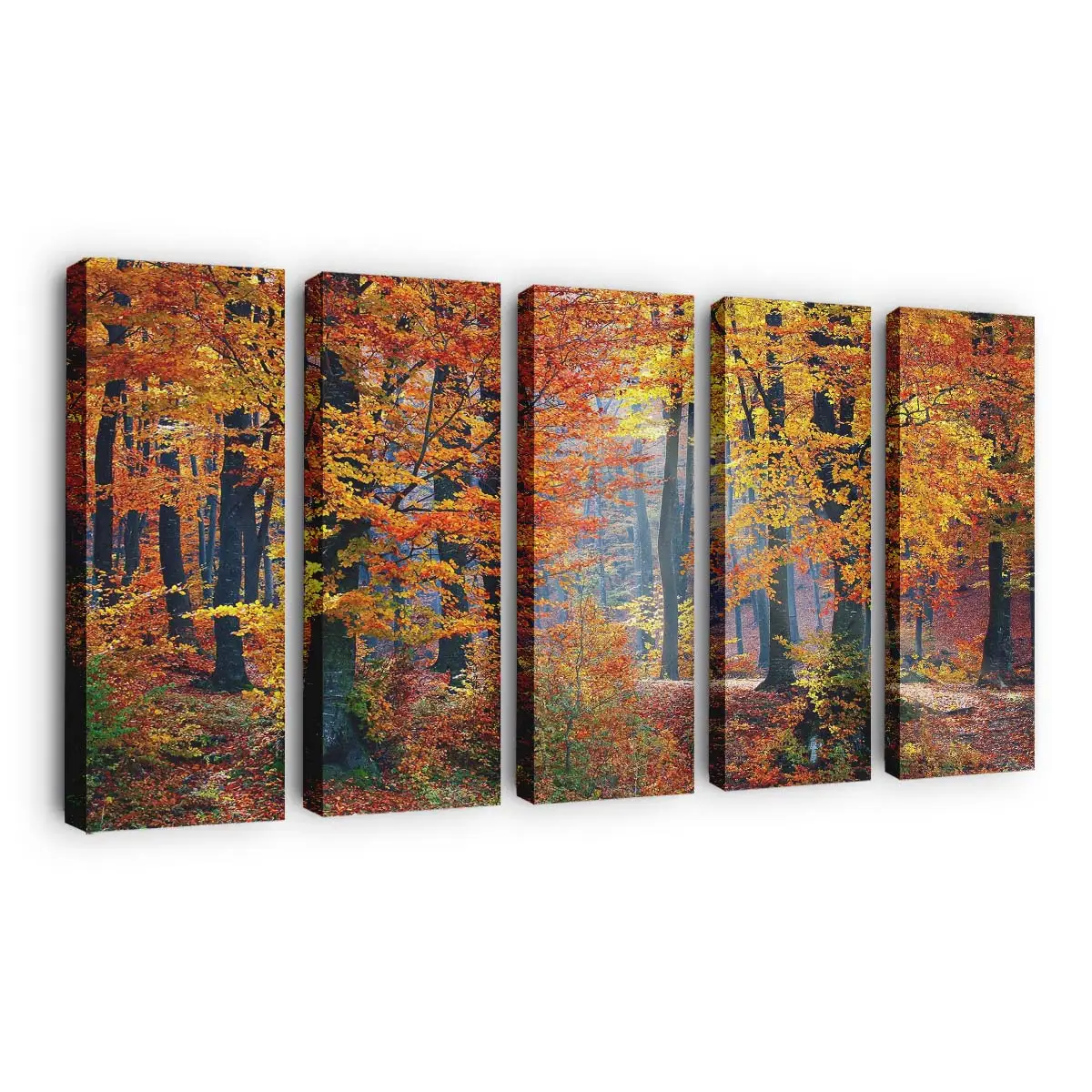 Detaillierte Farben Des Herbstlaubs Leinwandbild