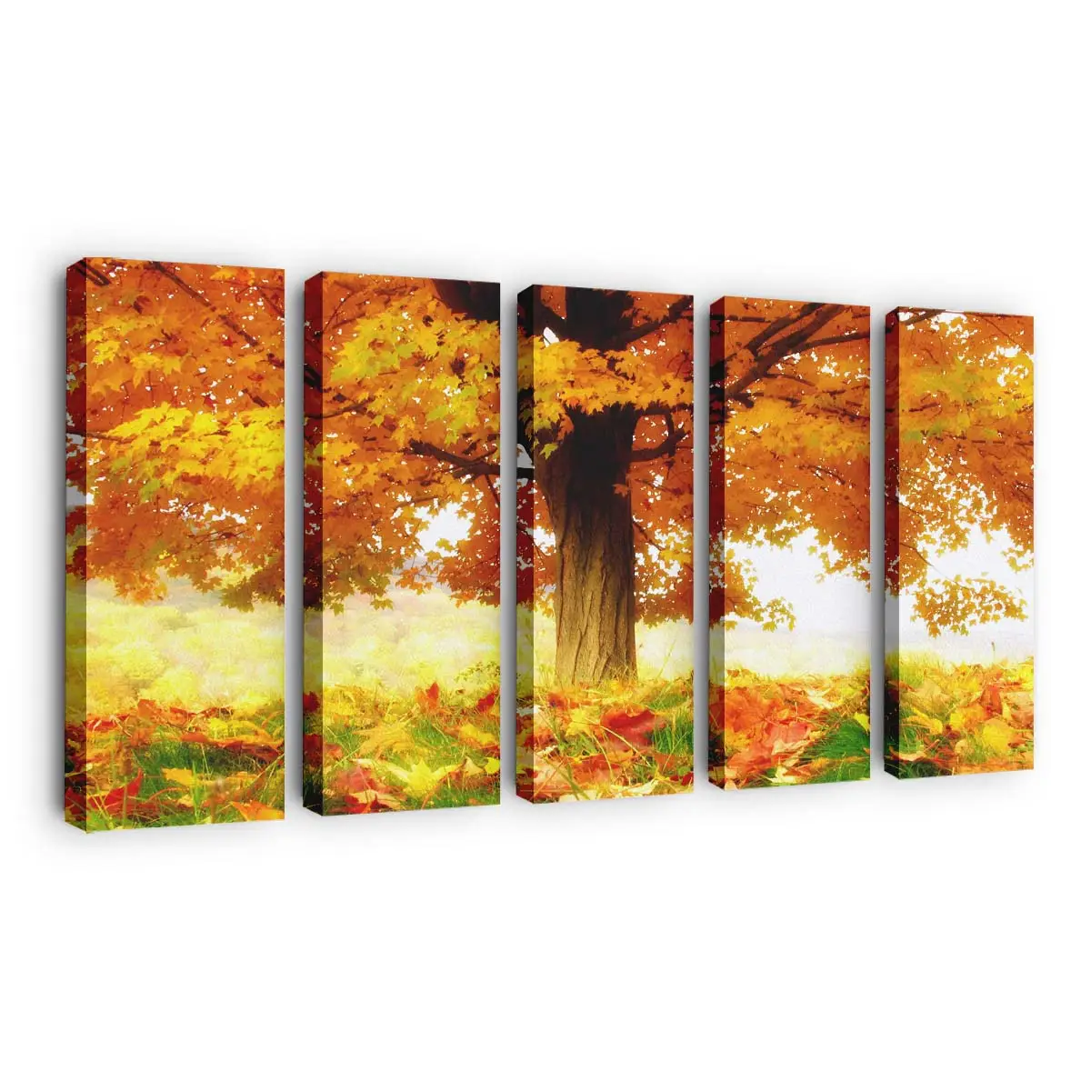 Die Freude An Den Herbstfarben Leinwandbild