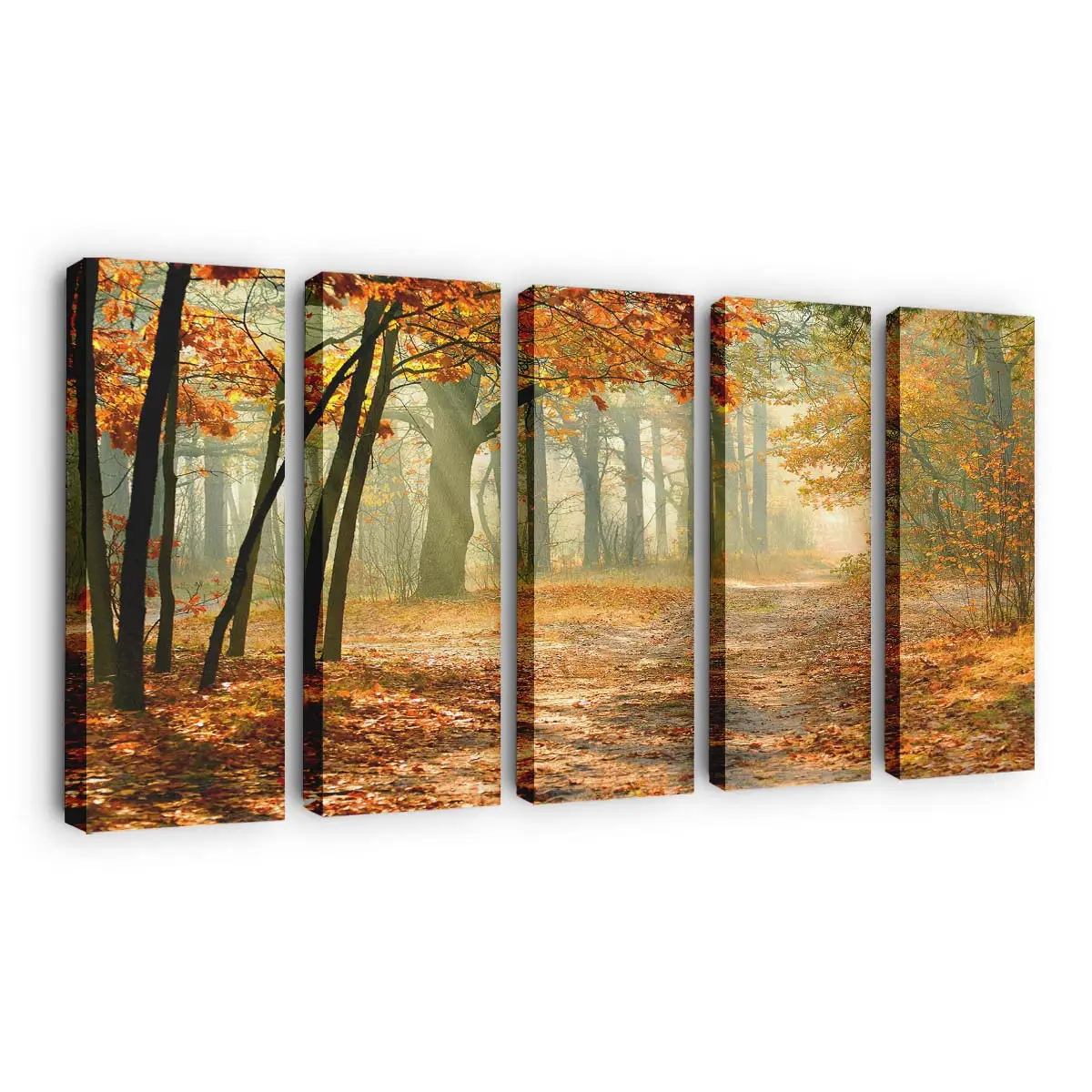 Echter Verwunschener Herbstwald Leinwandbild