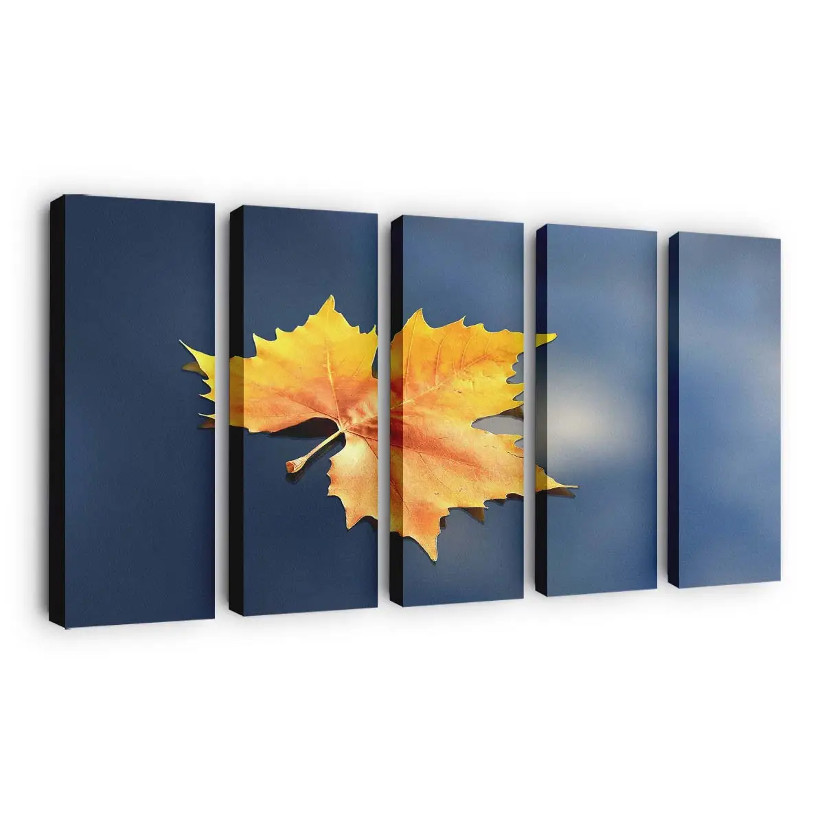 Einsames Gefallenes Herbstblatt Leinwandbild