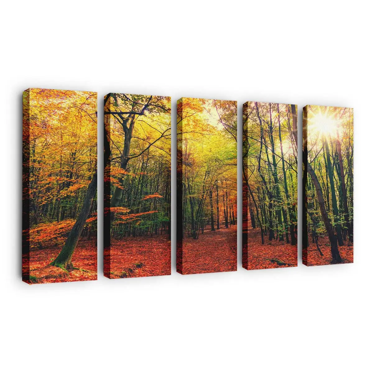Farben Eines Sonnigen Waldwegs Im Herbst Leinwandbild