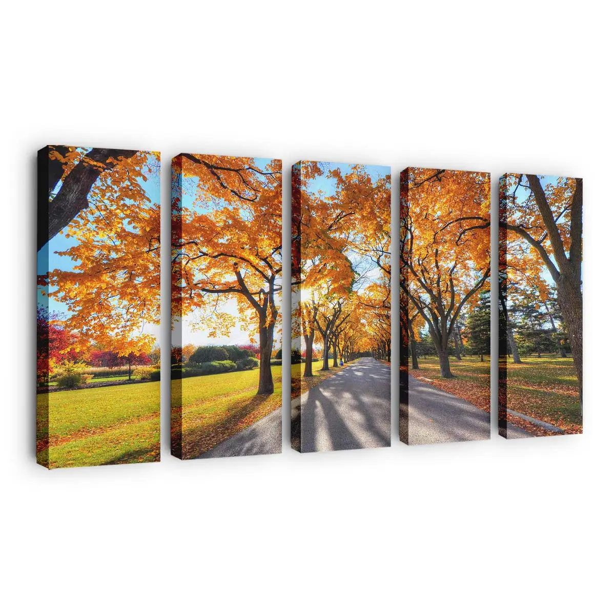 Friedliche Herbstliche Parklandschaft Leinwandbild