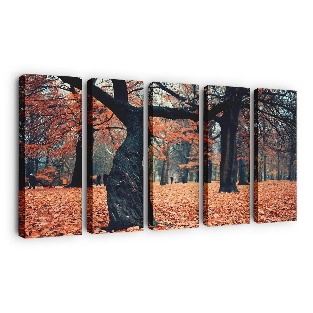 Friedliche Parklandschaft Im Herbst Leinwandbild