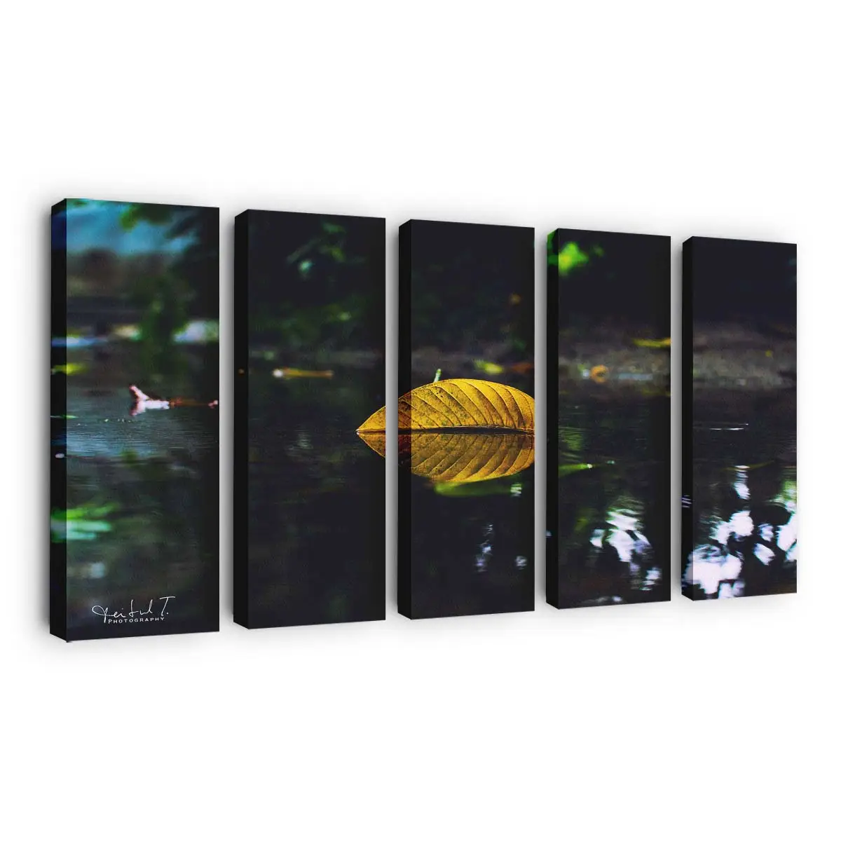 Gelbes Herbstblatt Auf Dem Wasser Leinwandbild