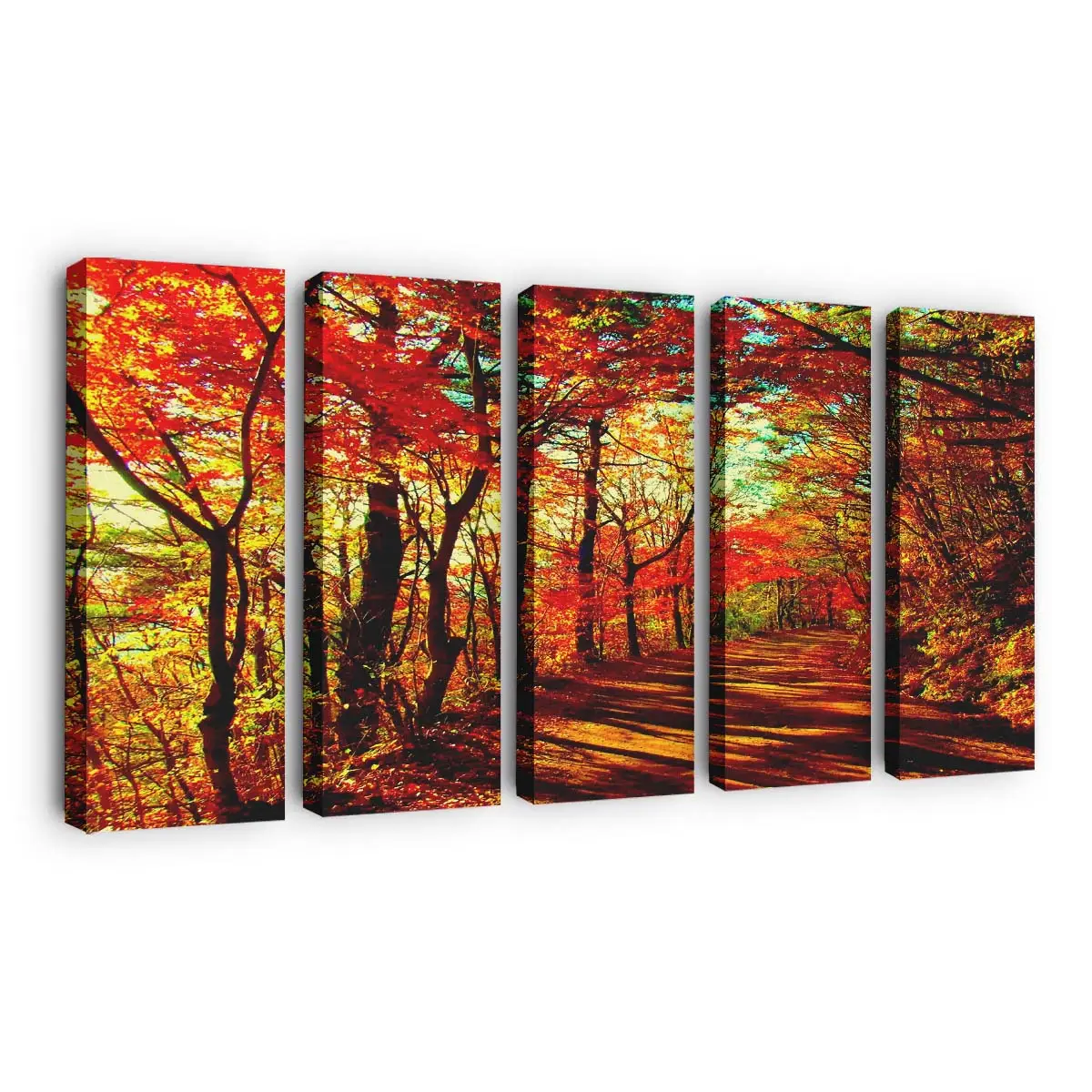 Goldenes Laub Im Herbstwald Leinwandbild