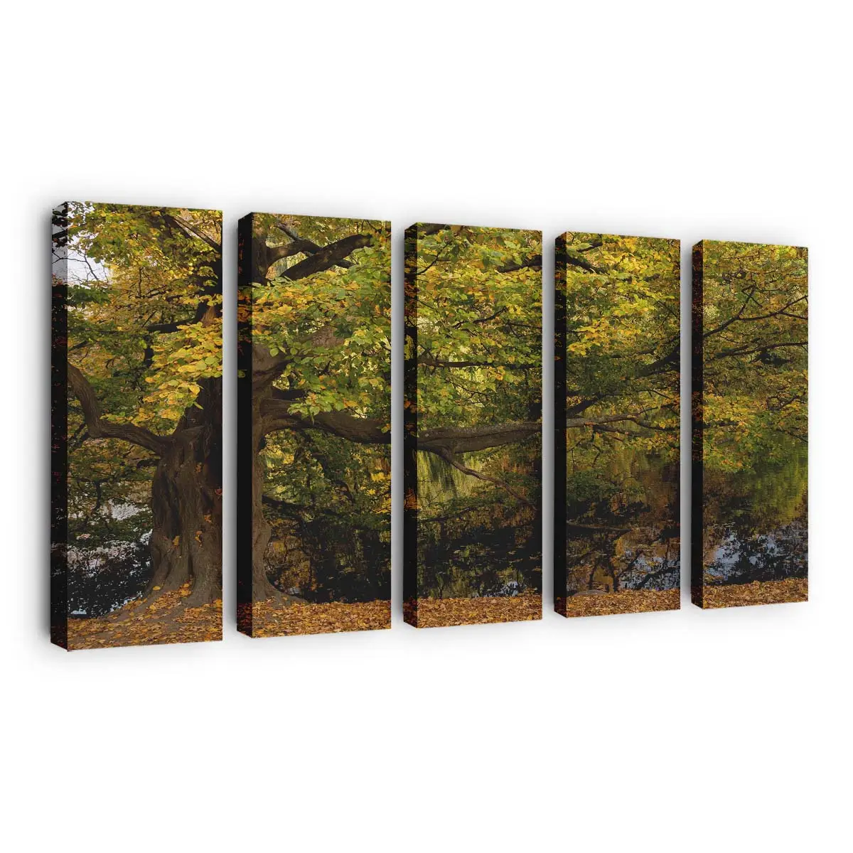 Herbstbaum Am Wasser Leinwandbild