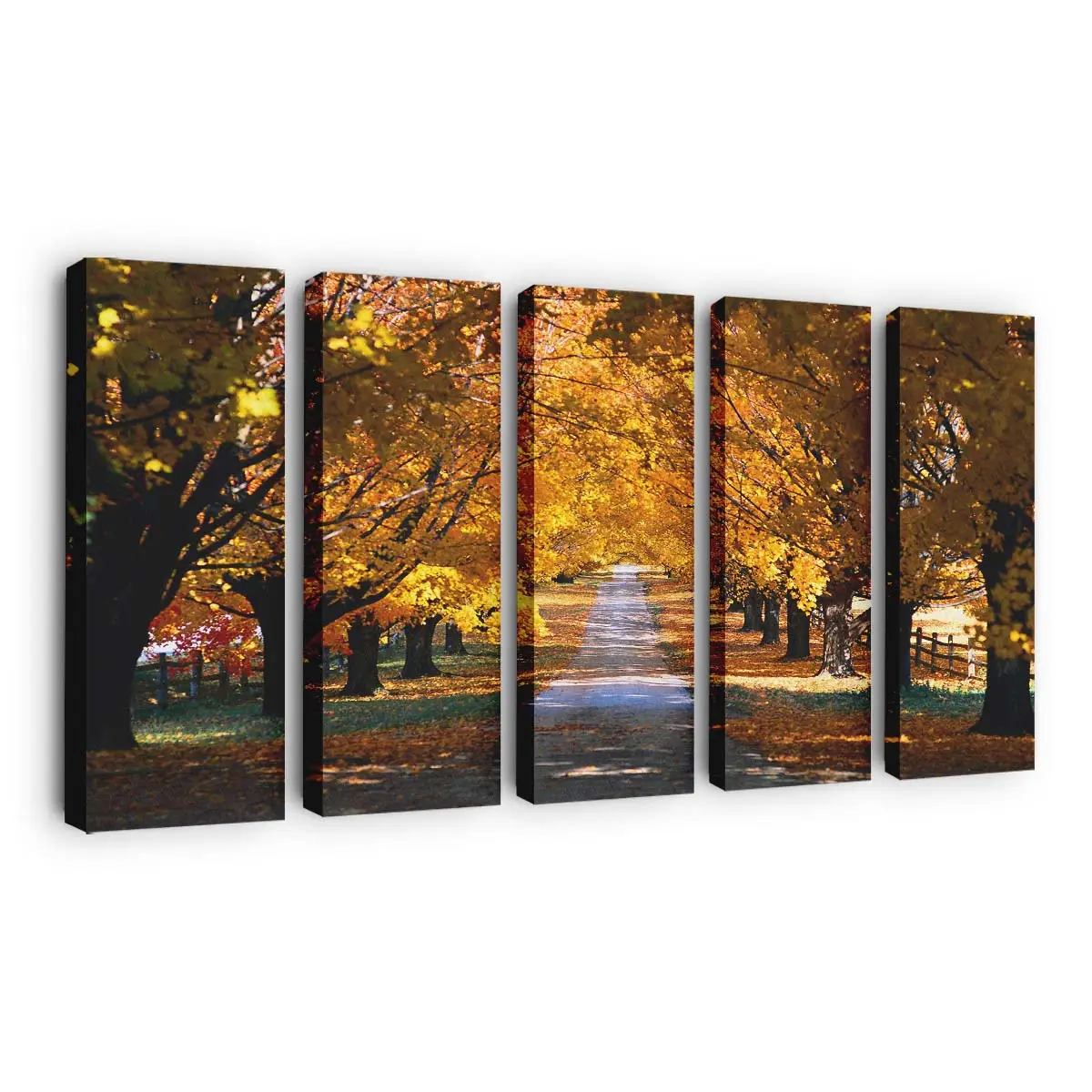 Herbstbume Am Straßenrand Leinwandbild