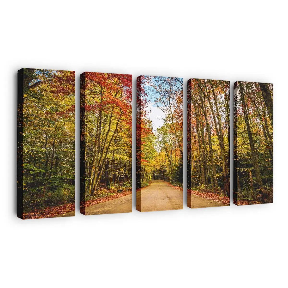 Herbstfarben Entlang Einer Reiseroute Leinwandbild