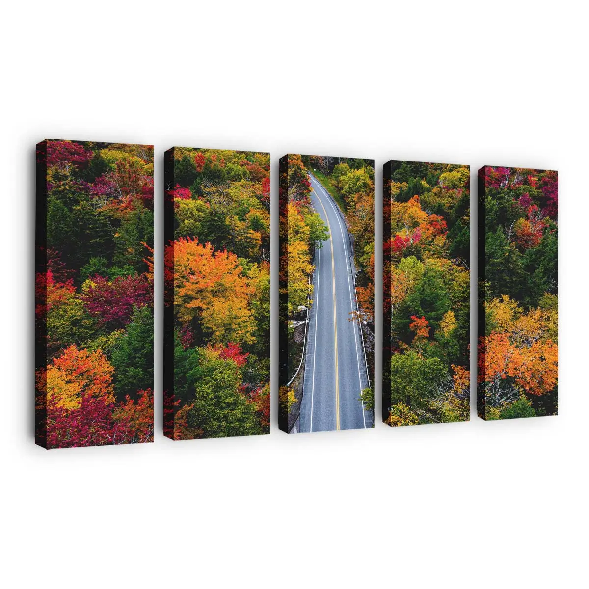 Herbstfarben Entlang Einer Waldstrae Leinwandbild