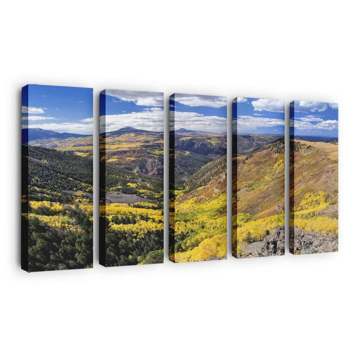 Herbstliche Bewaldete Tallandschaft Leinwandbild
