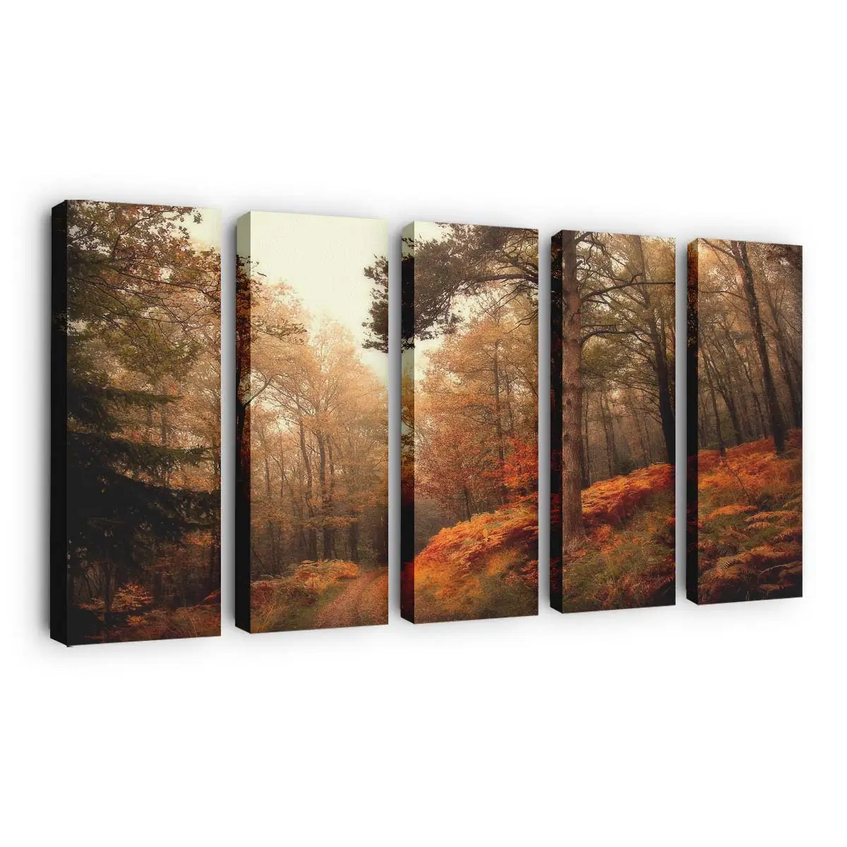 Herbstlicher Weg Durch Die Überge Leinwandbild