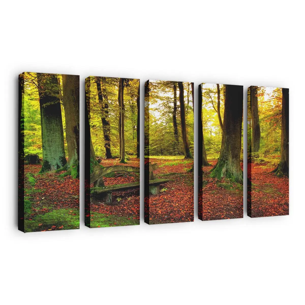 Herbstwaldszene Leinwandbild