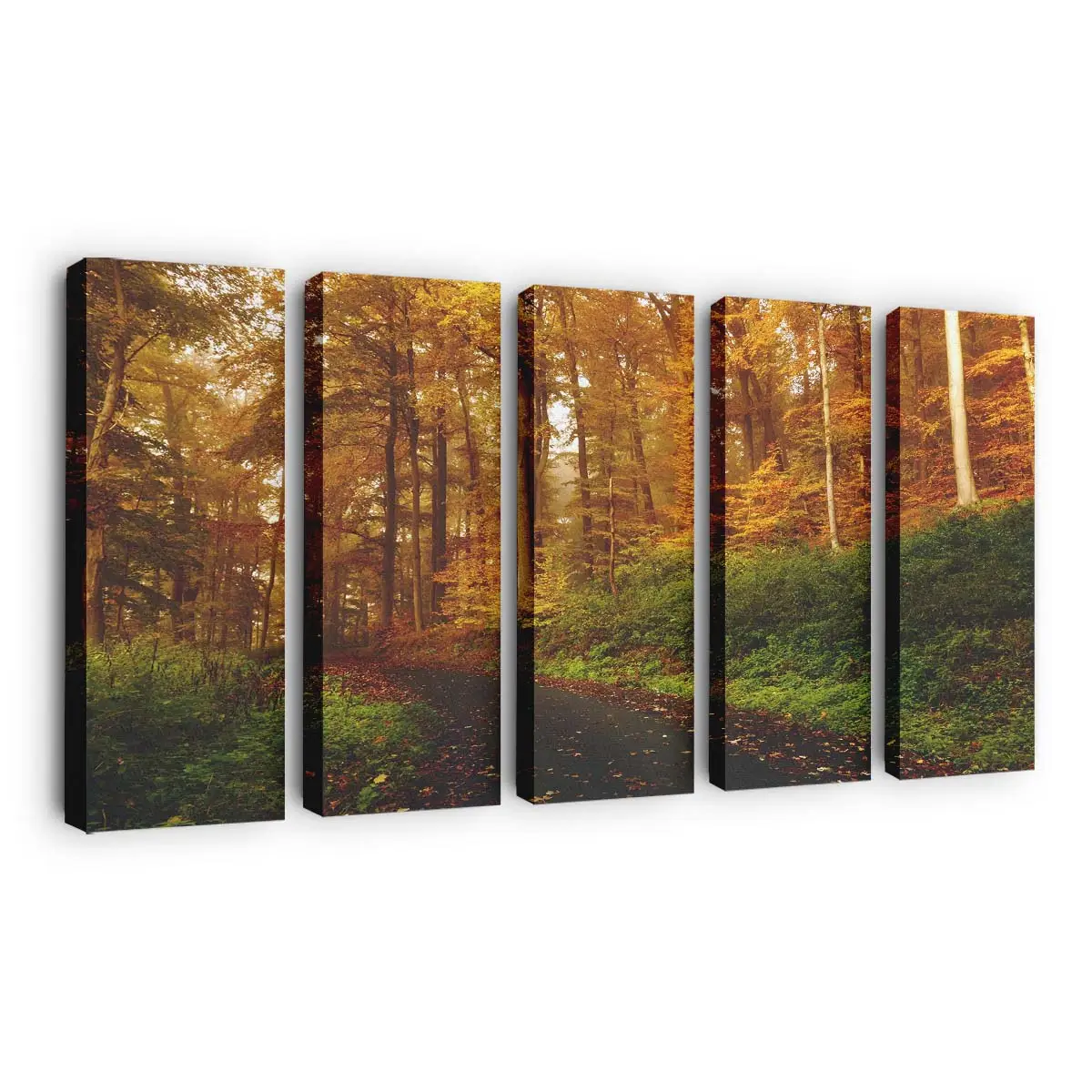 Jahreszeitenwechsel In Den Herbst Leinwandbild