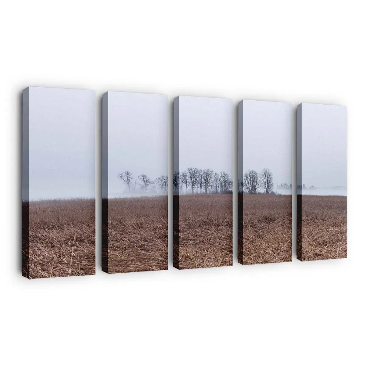 Kalte Neblige Landschaft Mit Kahlen Bäumen Leinwandbild