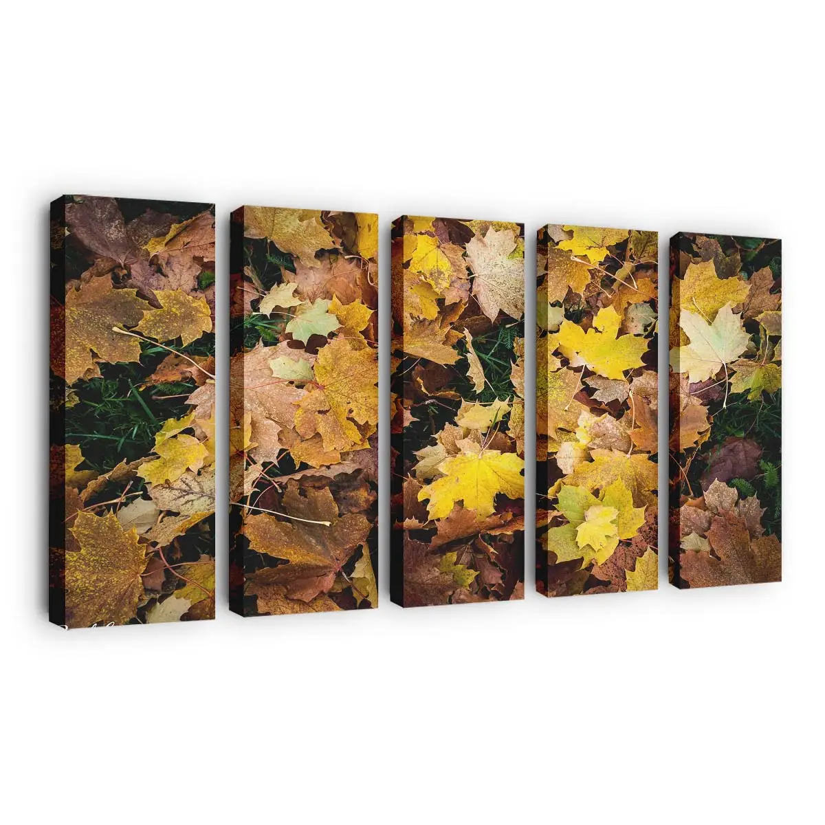 Leuchtend Gelbe Herbstbltter 1 Leinwandbild