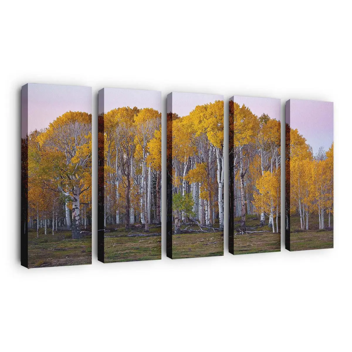 Leuchtend Gelbe Herbstbume Leinwandbild
