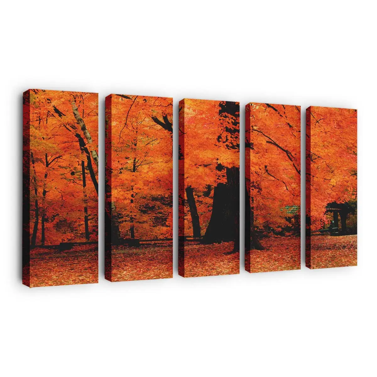 Leuchtend Orangefarbene Herbstfarben Leinwandbild