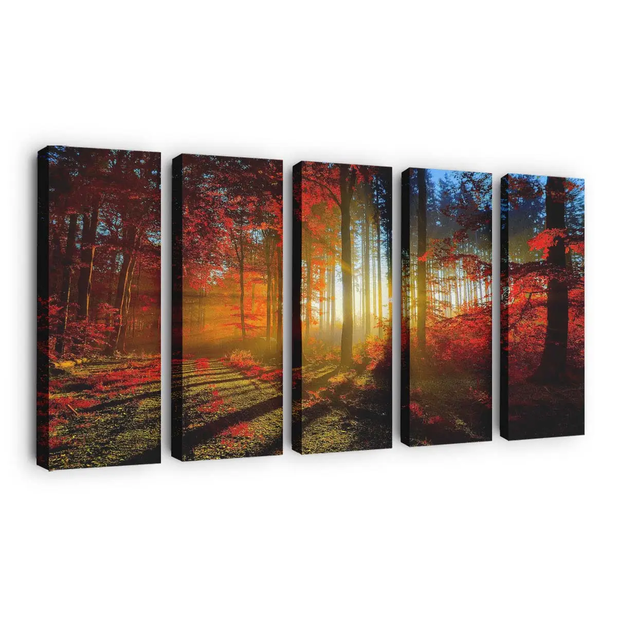 Leuchtend Roter Herbstwald Leinwandbild