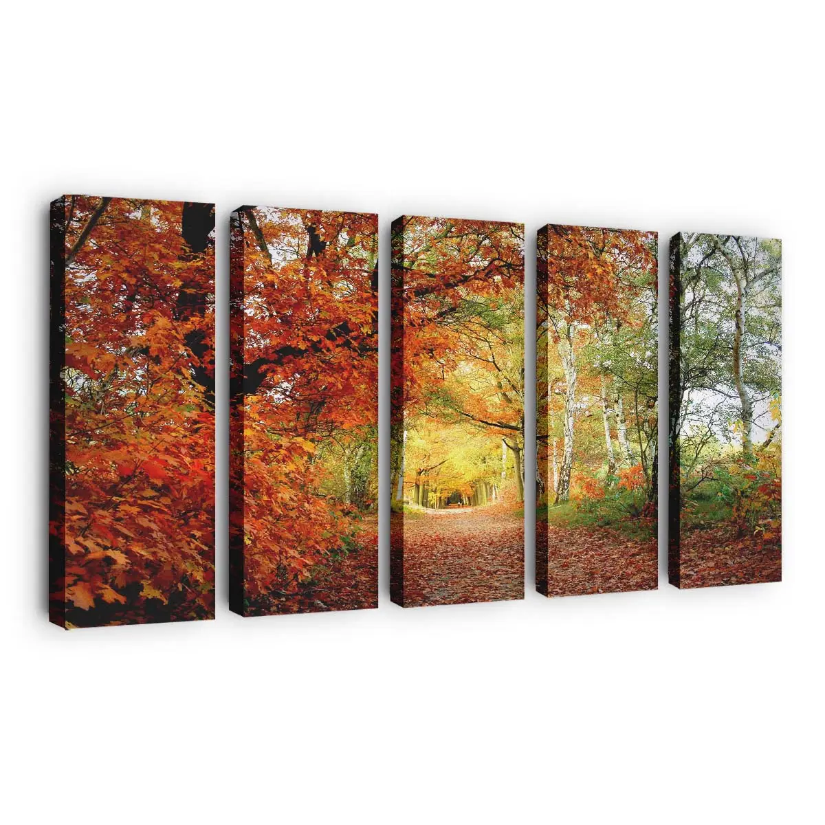Leuchtend Rotes Herbstlaub Leinwandbild