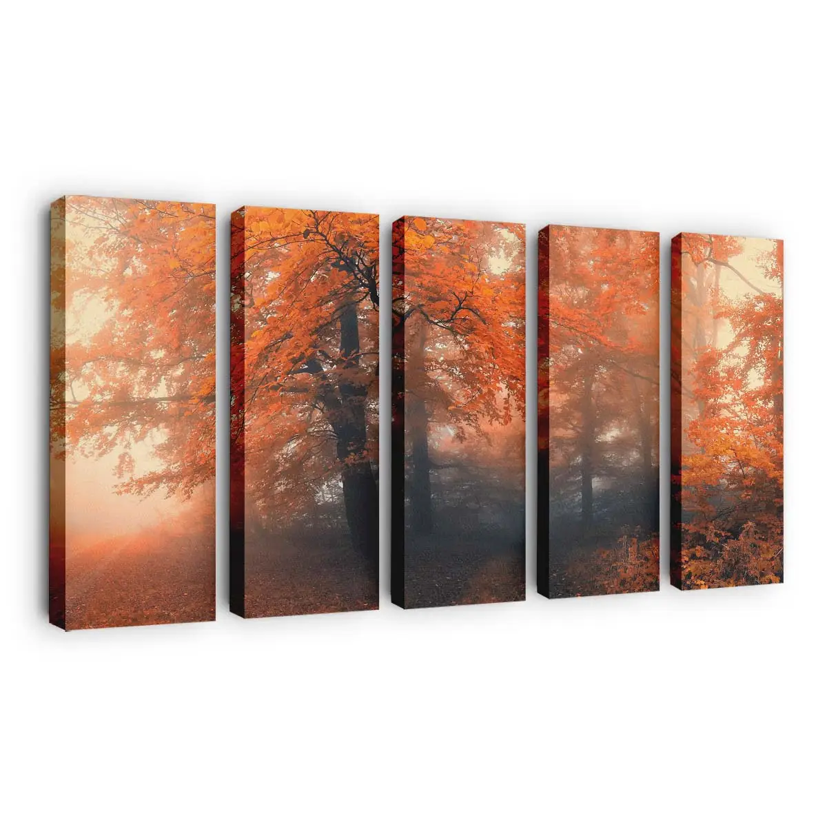 Leuchtende Herbstfarben In Der Natur Leinwandbild