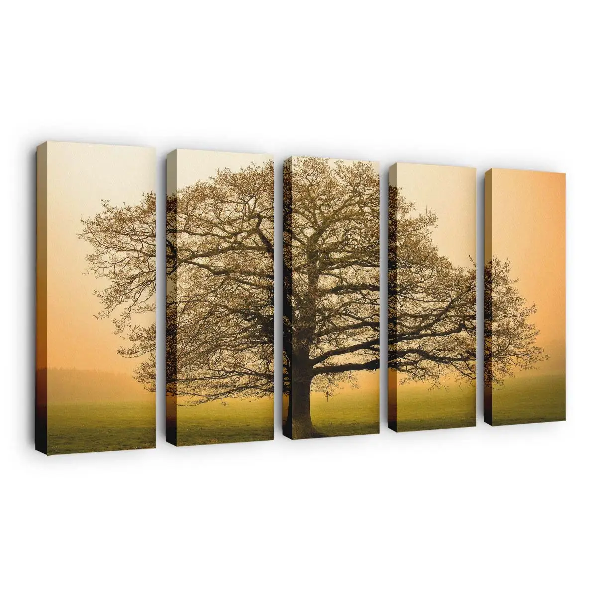 Majestätischer Baum Im Herbst Leinwandbild