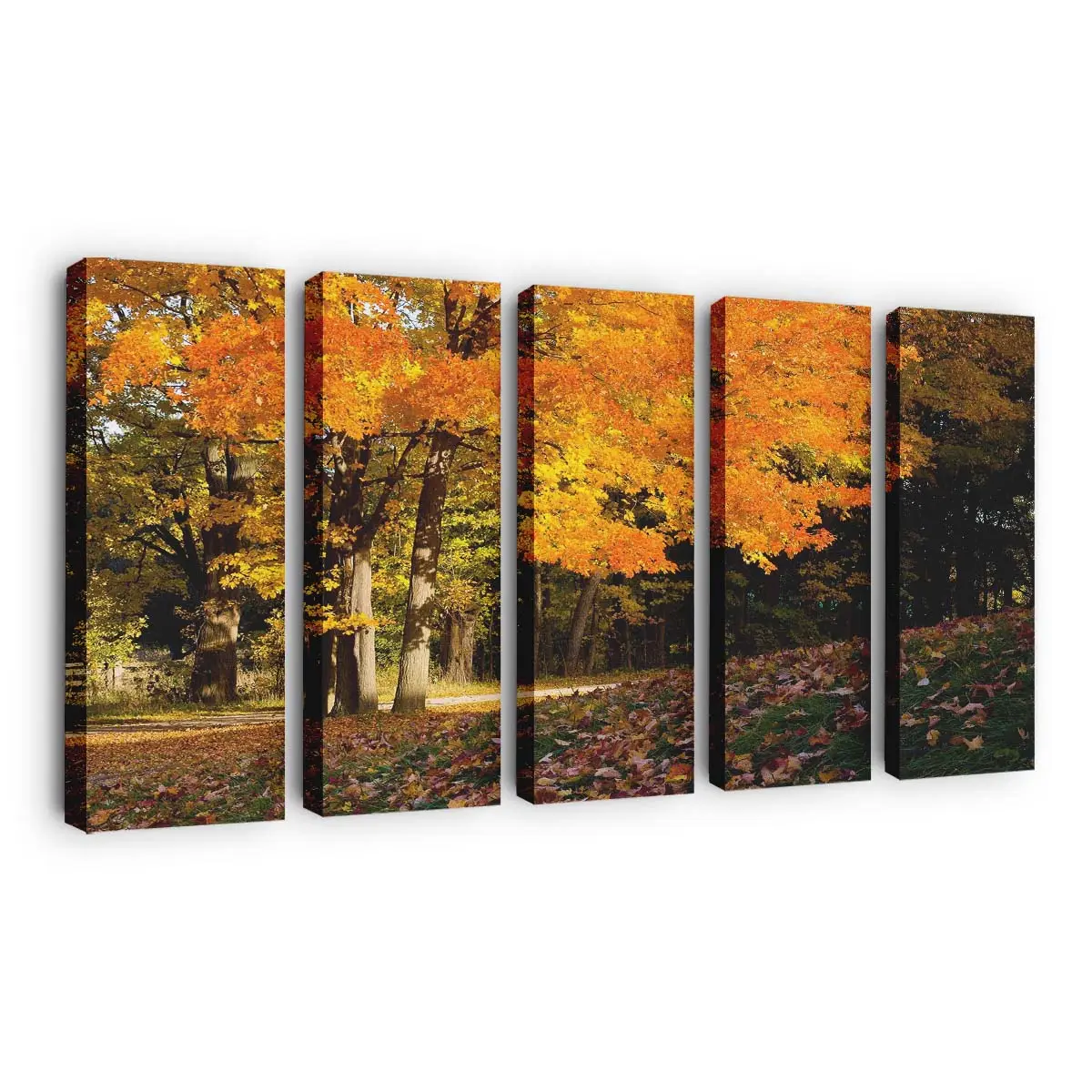 Malerische Herbstszene Leinwandbild