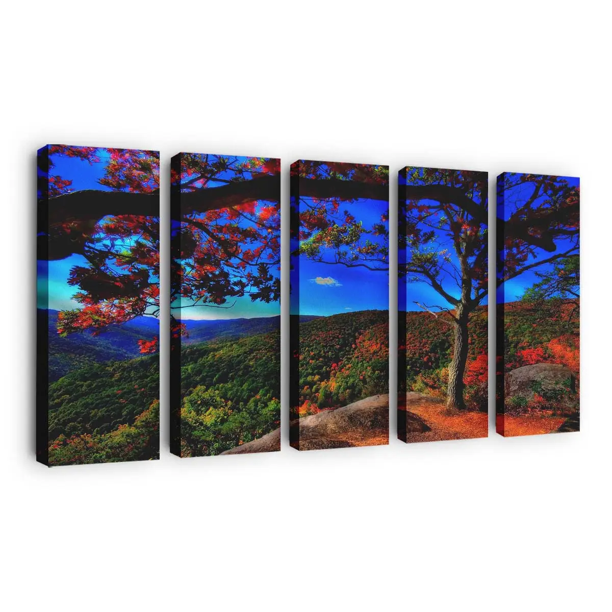 Malerische Herbstwaldlandschaft Leinwandbild