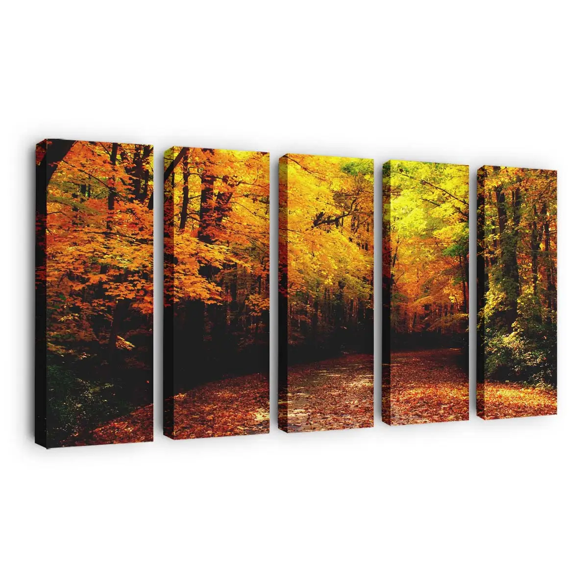 Malerischer Herbst In Wisconsin Leinwandbild