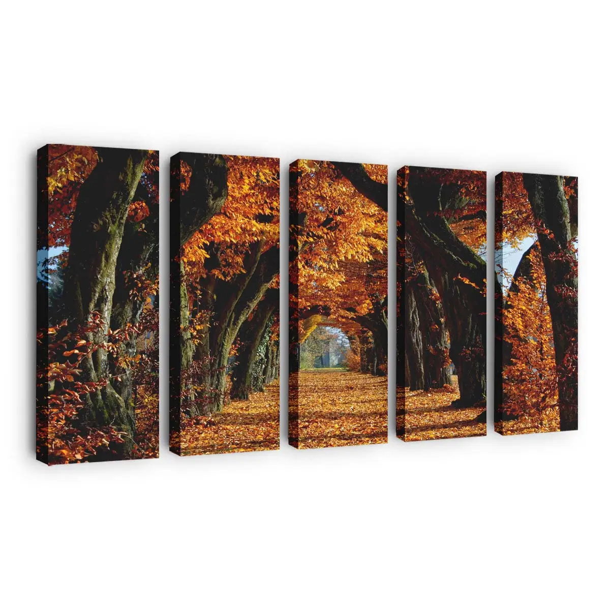 Malerischer Weg In Der Herbstzeit Leinwandbild