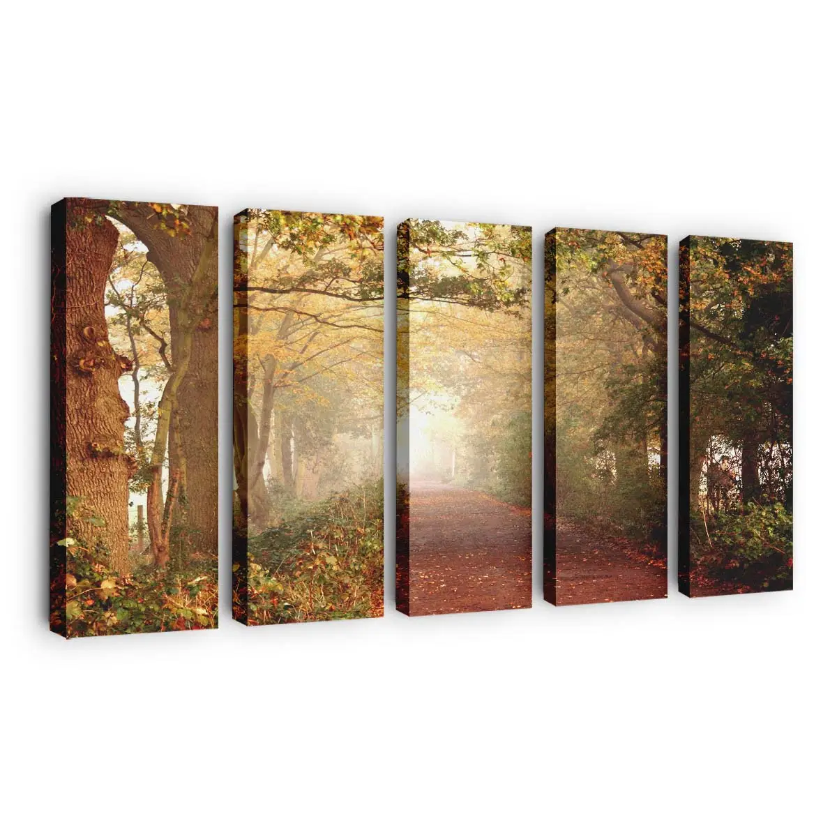 Naturpfad Im Herbst Leinwandbild